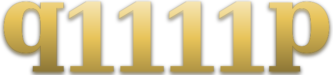 q1111p logo